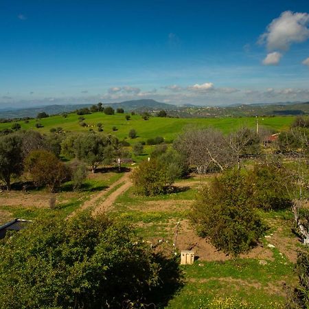 Camping Panorama Hotel Ouazzane Bagian luar foto