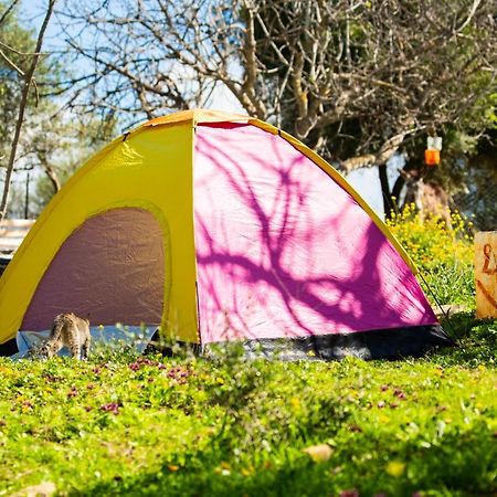 Camping Panorama Hotel Ouazzane Bagian luar foto