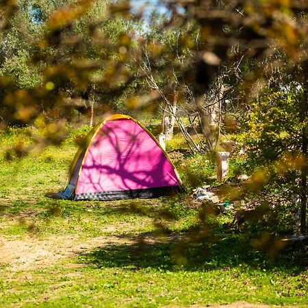 Camping Panorama Hotel Ouazzane Bagian luar foto