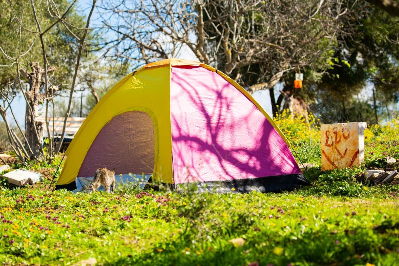 Camping Panorama Hotel Ouazzane Bagian luar foto